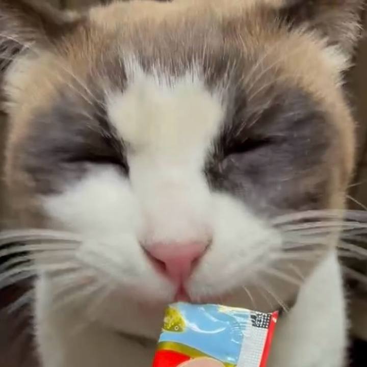 A8e7b582 5e65 4271 9272 e1b7b43e1811 1770122761625