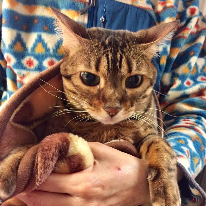 A8e7c16a 7c6e 43a2 b6cf 1d8198bd620d 1542327652299