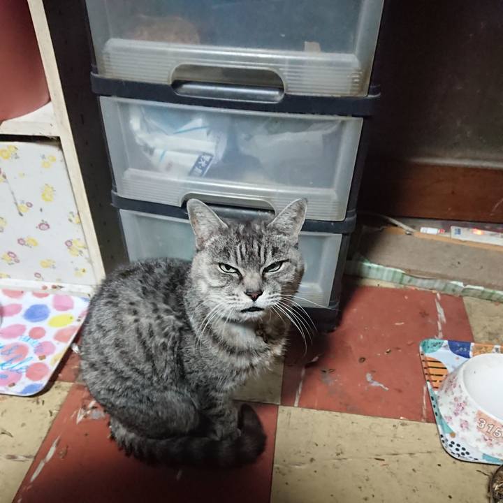 A8e7c1da 70a5 44c6 a440 b7a6e00a971b 1573502460537