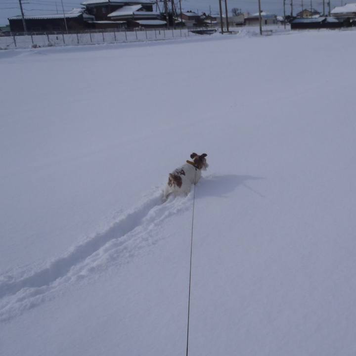 A8e7c1e8 94cf 4ea2 88bc 54b746a58923 1517130328631