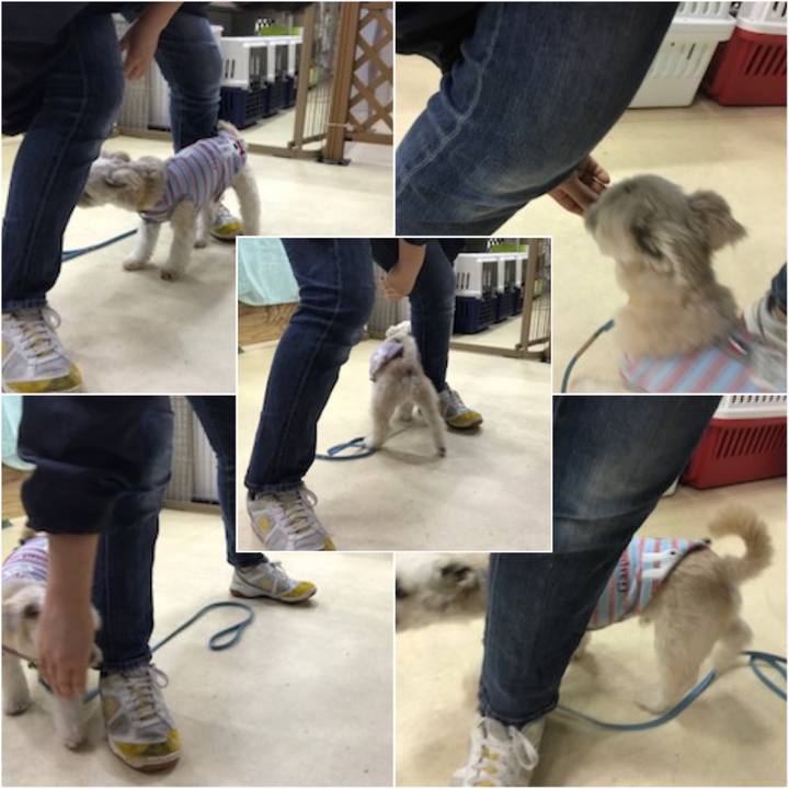 A8e7d1f5 0aa6 44b8 b6f0 d0441e54d1e3 1572344430553