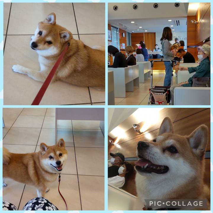 A8e7e62b 1a66 46d3 a03b 342c744b6484 1760315080705