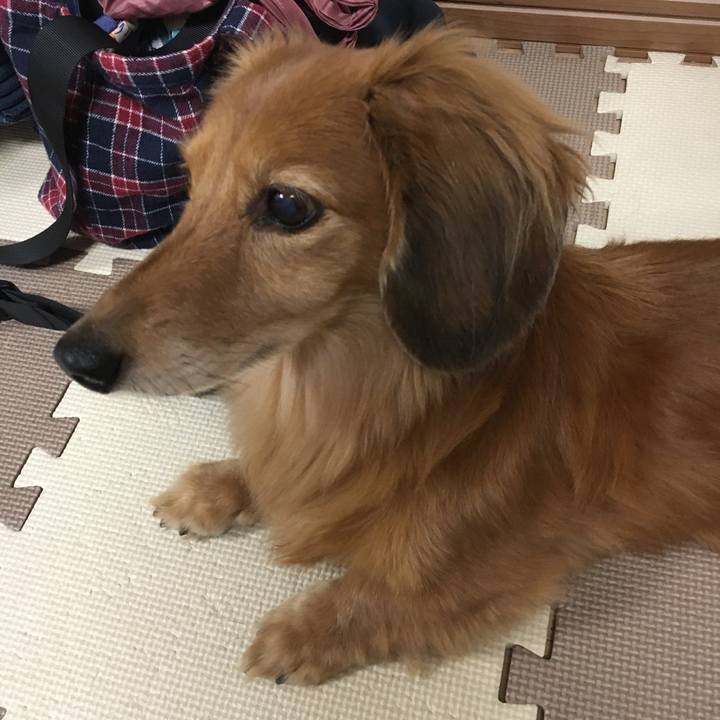 A8e7f1dd 73f4 4bd9 a58e e7fc8db736d5 1605358363613