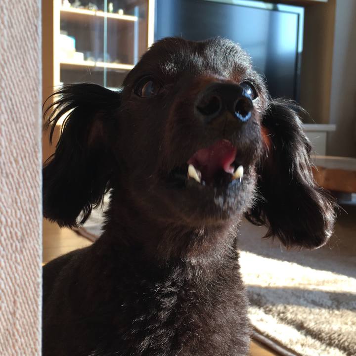 A8e84367 5615 4b1d 80b1 04b5164f2d32 1554330071490