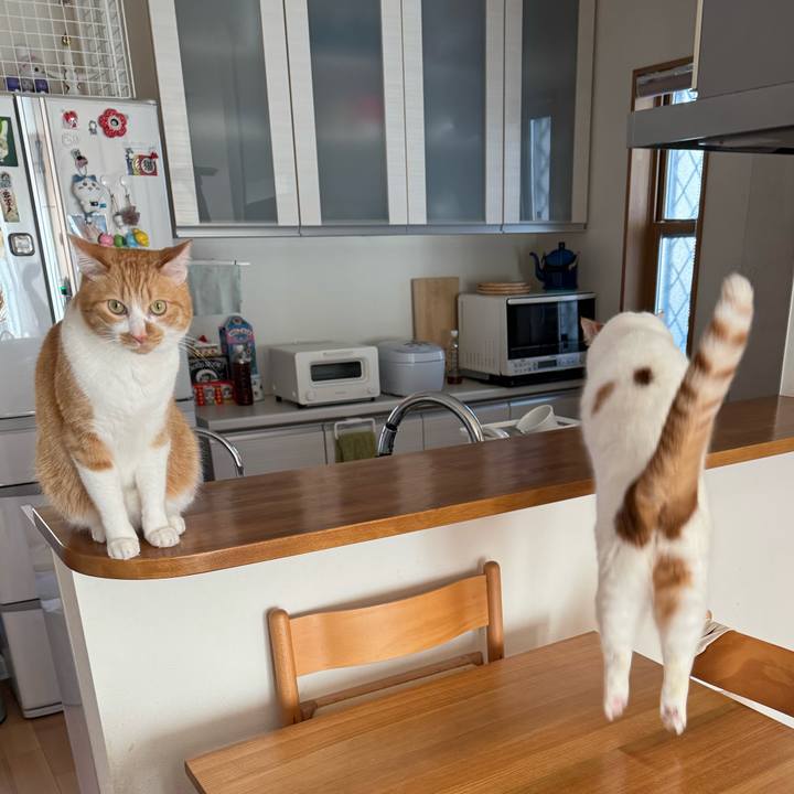 A8e85055 c030 4551 b8ad 792e48742e3d 1767840564331