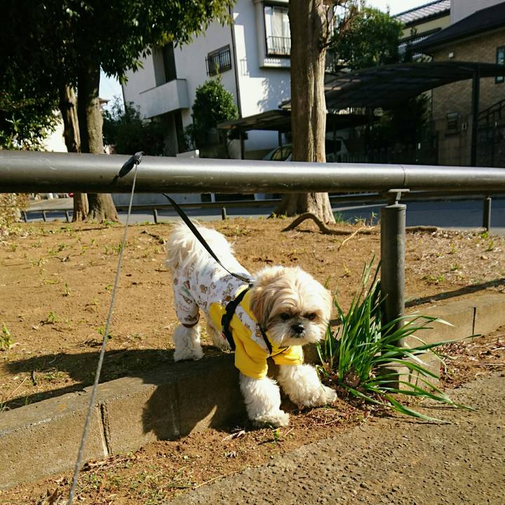 A8e85b1f b520 42b6 b525 855de3104726 1546924856271