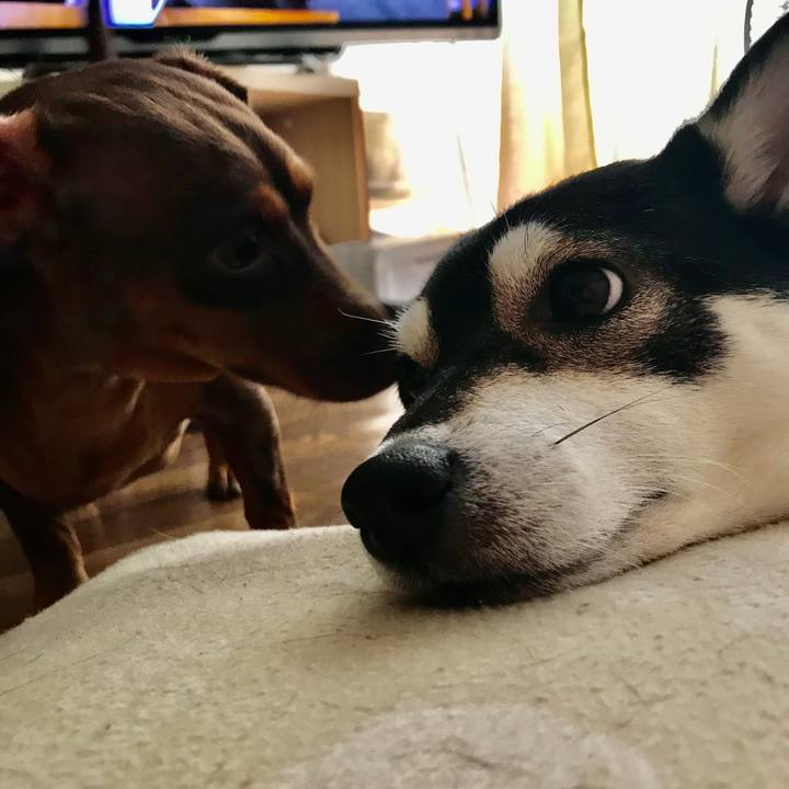 A8e8633d eb2b 4f00 a767 74230d1c002b 1574923894965