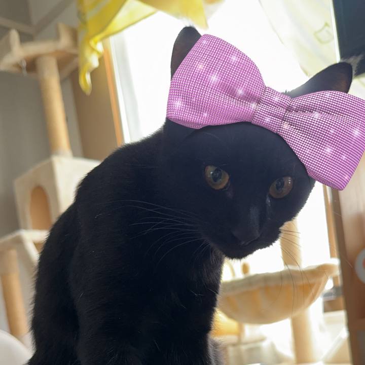 A8e88e45 84aa 49f6 a1ee 806e5f95faf5 1730427944271