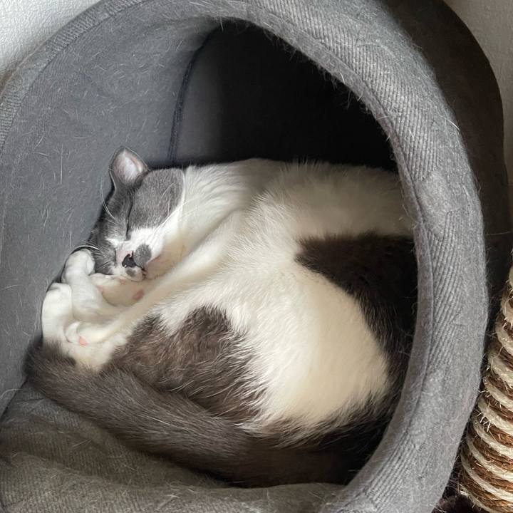 A8e8c0b4 ce4b 4634 bcce 675c121604f1 1667107244960