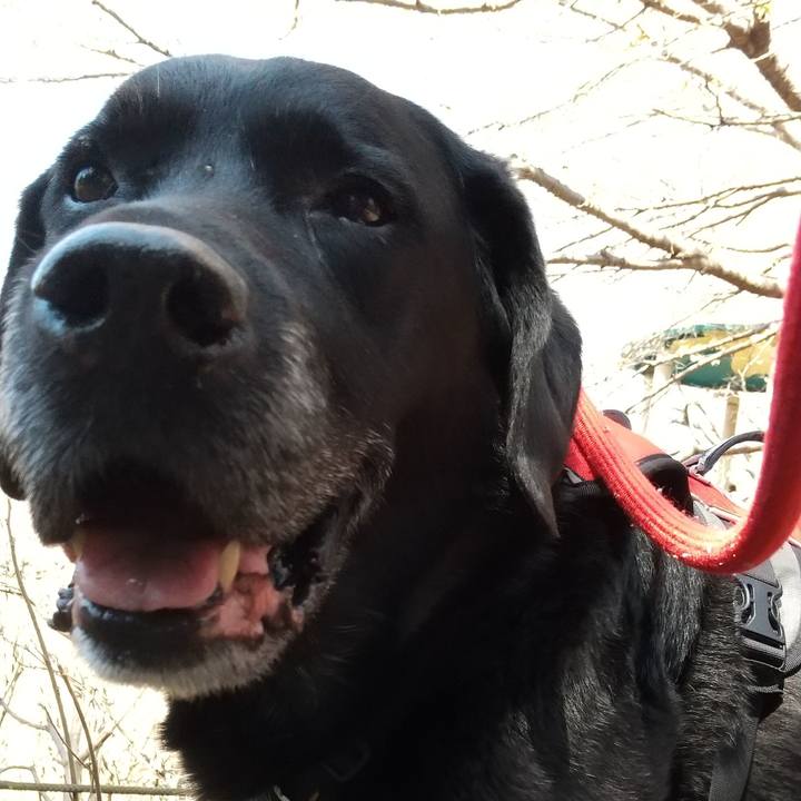 A8e8e2c6 b9ff 4831 9119 3d5c8c9e0d3c 1691804260728