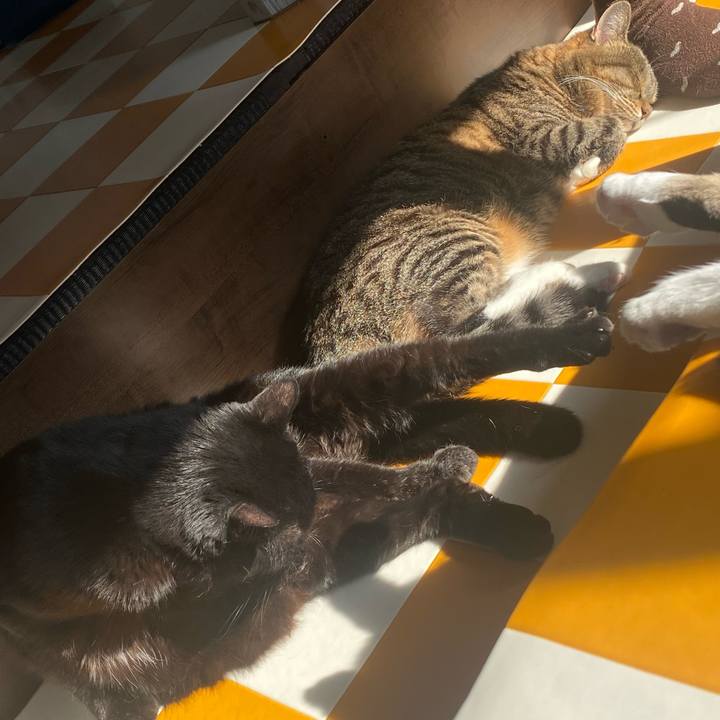 A8e8e843 de0b 4c9a 99d7 4bb3ff3c334e 1698973327107