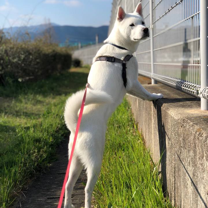 A8e909c3 08d5 4b33 a88f ba36449f038f 1553385025502