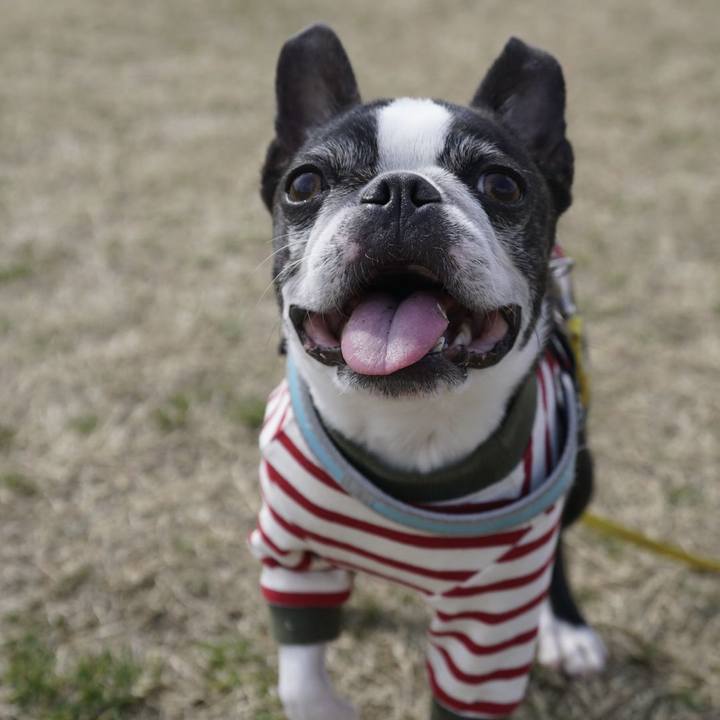 A8e90c9b b2a8 4130 9dfc 8104b5cff037 1519632607469