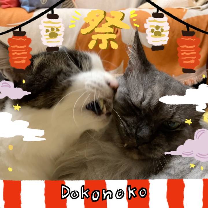 A8e90f34 47dd 41dc a19f f5627aaa1480 1723687156090