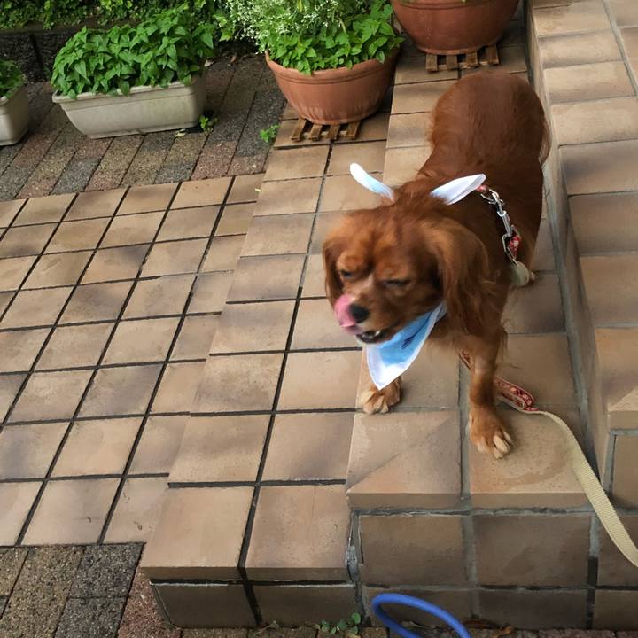 A8e91ef3 bdb8 41d4 9323 f937fb624d7e 1533051258738