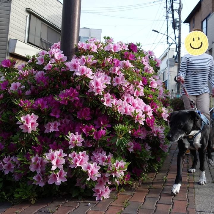 A8e94fb9 b998 4c99 a267 69c9a242e826 1713568238259