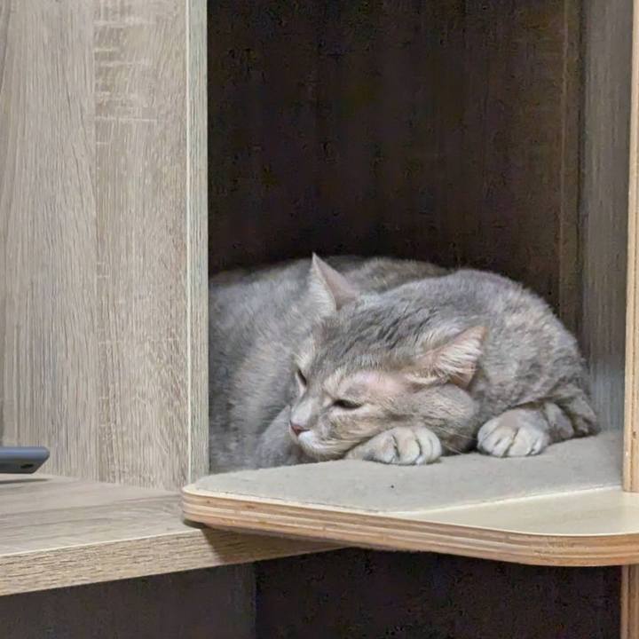 A8e95c6e efa5 4803 b848 b5be50ffc698 1729295669436