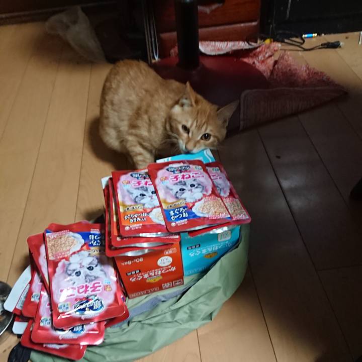 A8e95f02 ae31 41e3 915f 7d05d457c15d 1634549017754