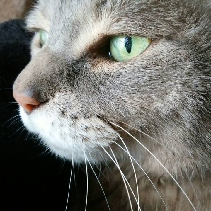 A8e96411 7f0e 4272 8d04 fdd463f54a68 1583641139826