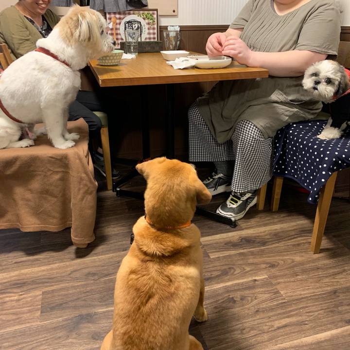 A8e9774b e512 419f bfe9 411ef5227e15 1561811434020