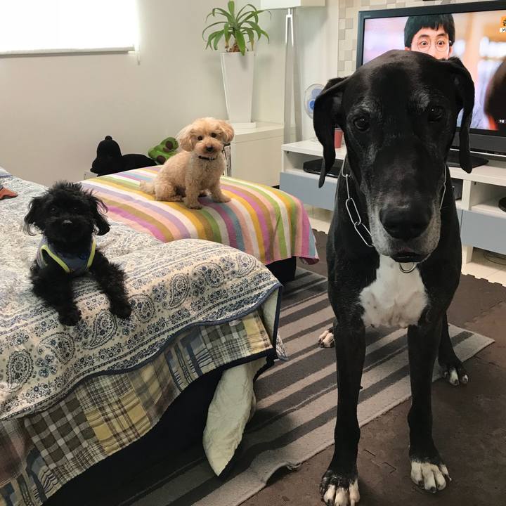 A8e97cba aa33 45e0 b67b c5853e218e1a 1528152032658