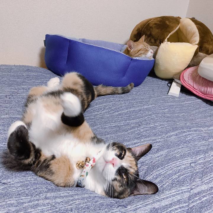 A8e9965a f16f 486d af0e f83556a4d3be 1569066558841