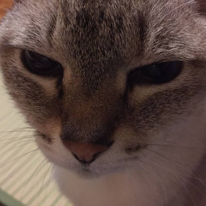 A8e9a50c 50b7 4207 b2fb 2390d1490daf 1528896297154