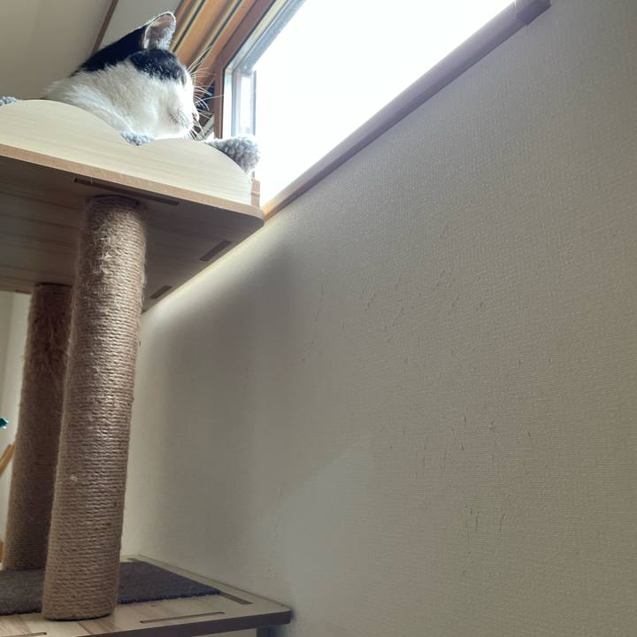 A8ea1de8 a0c7 4f06 9115 cb56b8c577e4 1661315635701