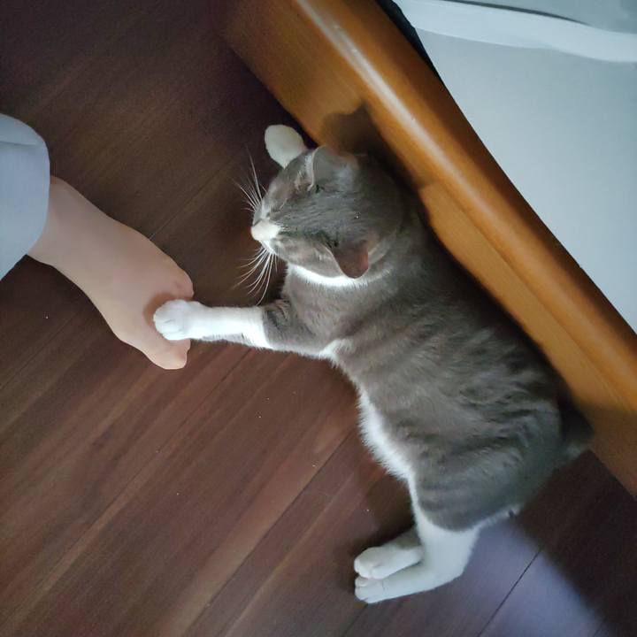 A8ea4a4b 5665 4c3e 9187 c679319b283f 1663068028303