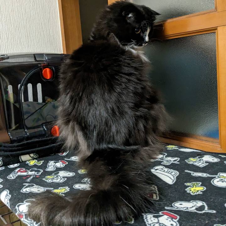 A8ea50f4 2f9f 47ce ba3e 9a1d8f45f372 1675522276064