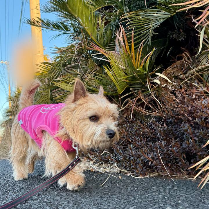 A8ea5166 42fd 498e 915b bd73d768493d 1769373143745