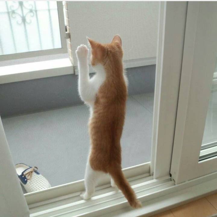 A8eabd53 3de1 43f1 9563 71b71949219a 1591007792618