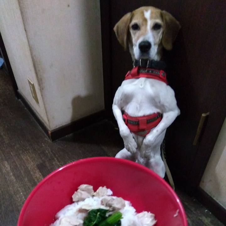 A8eac486 ee02 407a ad46 5992f95bad35 1707911456555