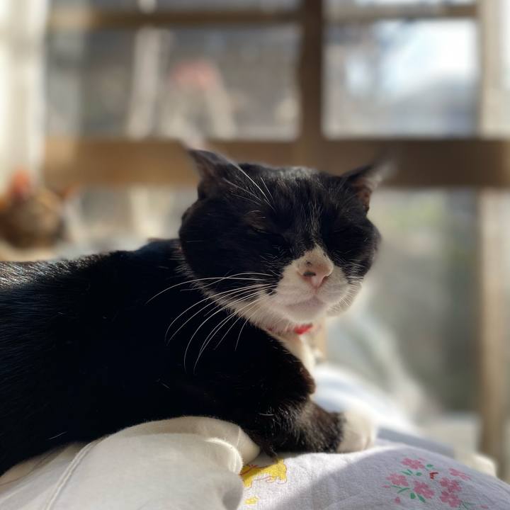 A8eacd91 dbcf 4451 a156 a8cf1e467189 1609146536334