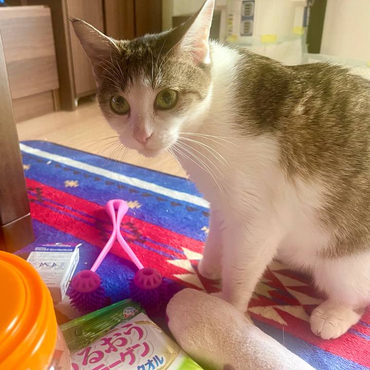 A8ead5a9 409d 4411 a6e7 4b12b7cfeada 1634167094400