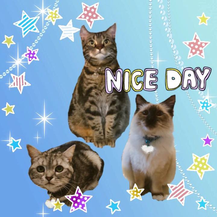 A8eb518b 5857 40a5 8fea 18b028f4dc5e 1519309444030