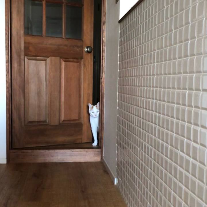 A8eb5e89 81d4 40f4 a532 753a42e6692e 1672712010845