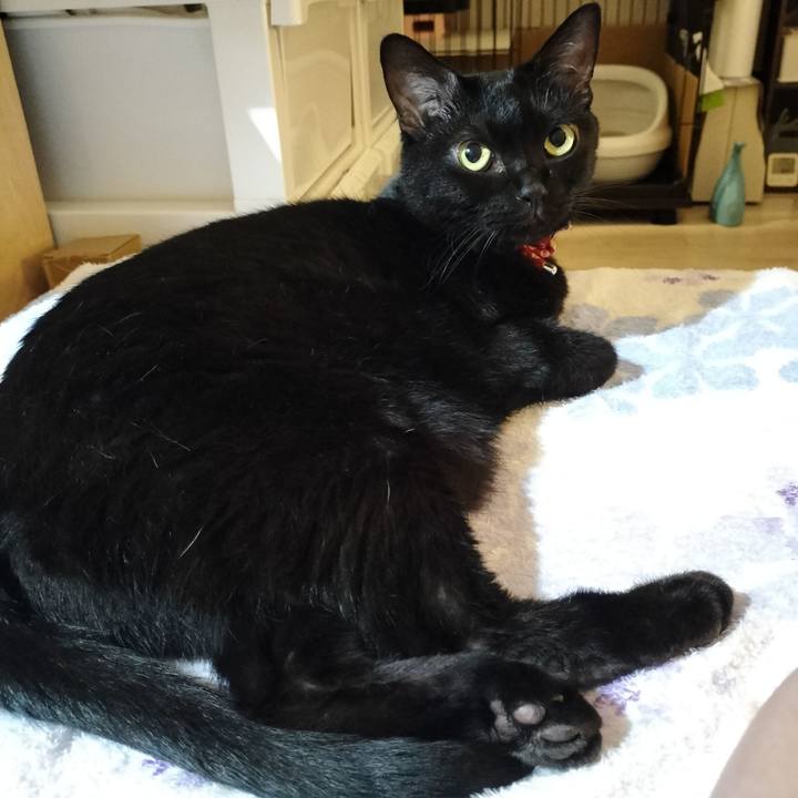 A8ebecfc 3ee6 441f 9415 a089f0296d42 1663499673483