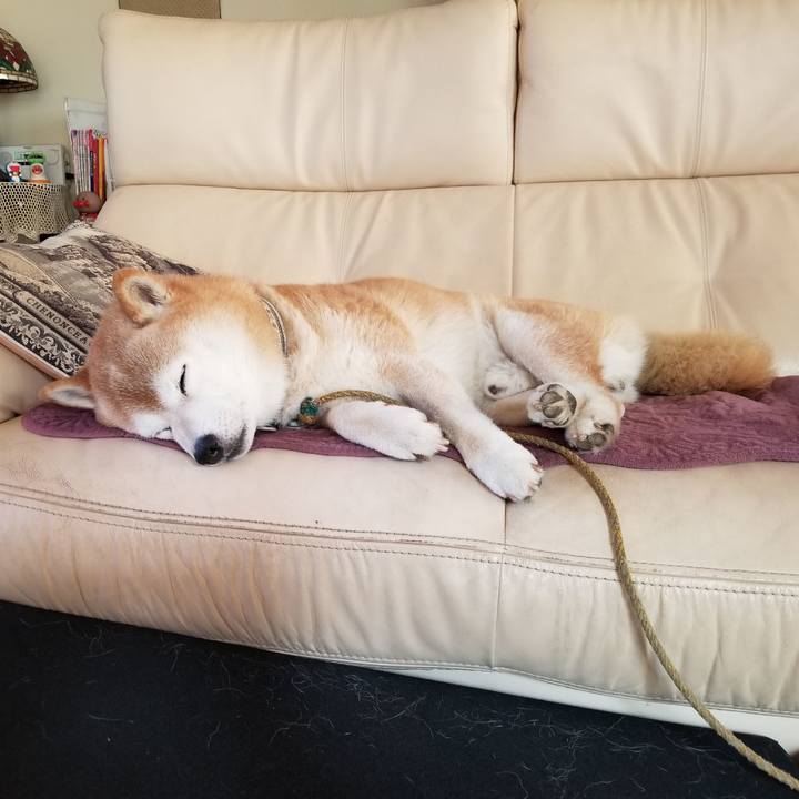 A8ebf484 cb13 4532 a077 be7d5d9eebc7 1695596746975