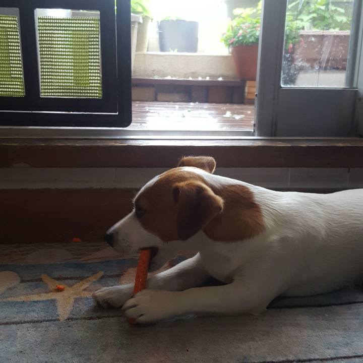 A8ec1fd8 68d7 4dc3 9876 44bac6b5132f 1561783189908