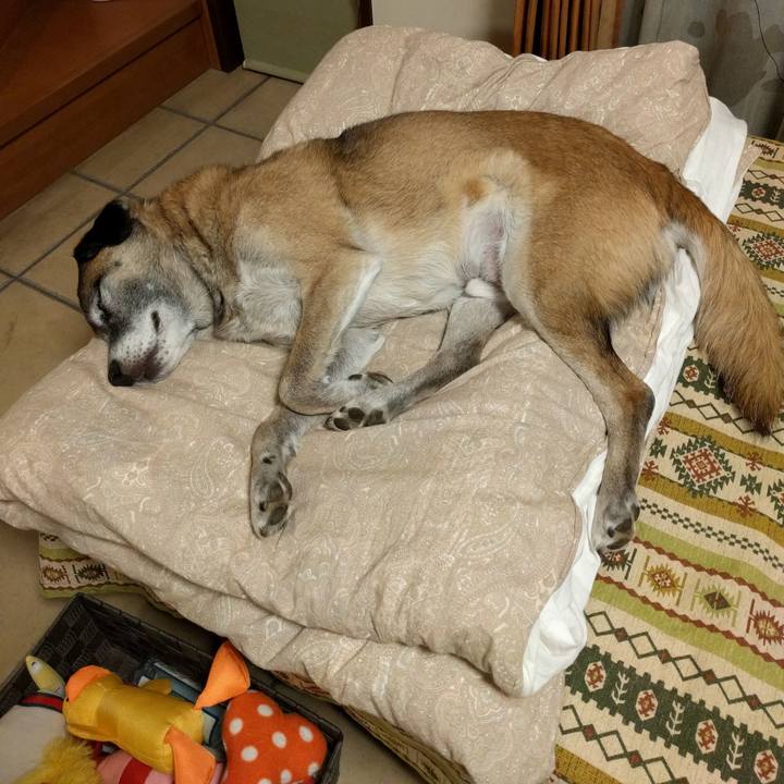 A8ec4187 879c 470c 9db9 1633ad5b0dd8 1512519910747