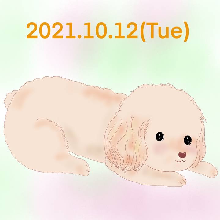 A8ec612b e761 48e6 98d0 15e3d303cad1 1634036601461