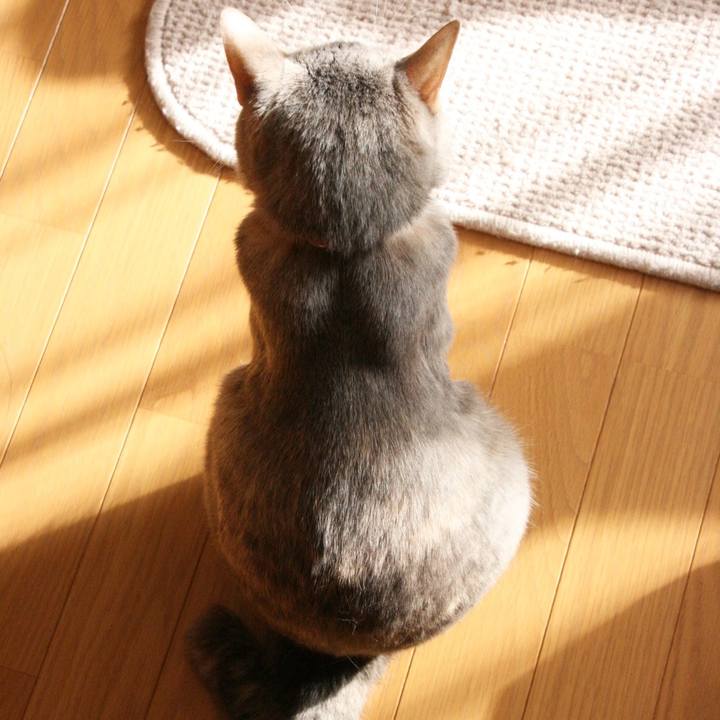 A8ec8340 6e02 4cb6 8273 12ba44e748e5 1524212118498