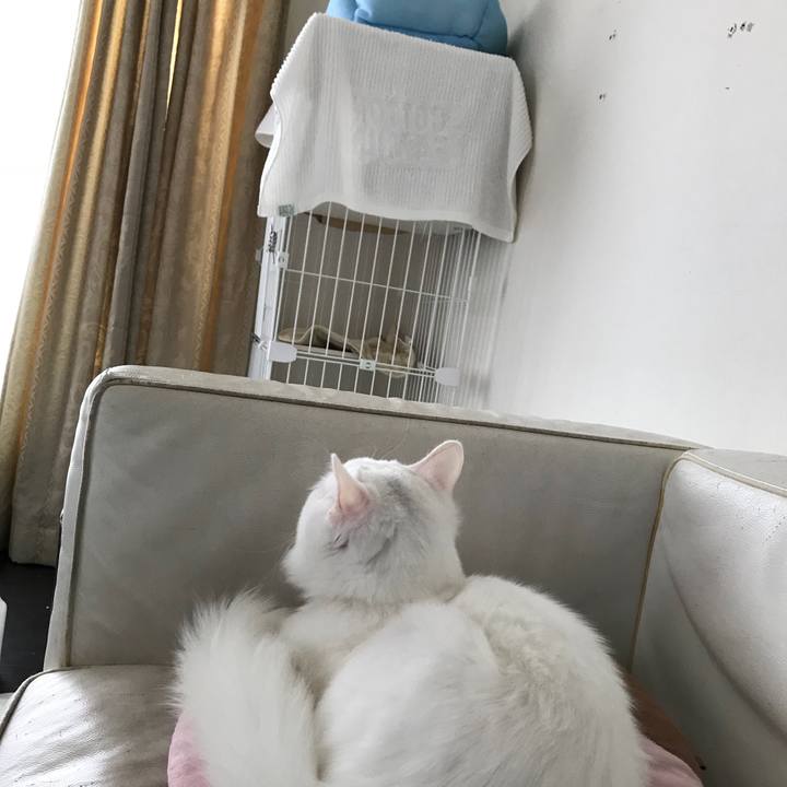 A8ec8477 dc49 47e3 8676 07be3974a57e 1517715828014