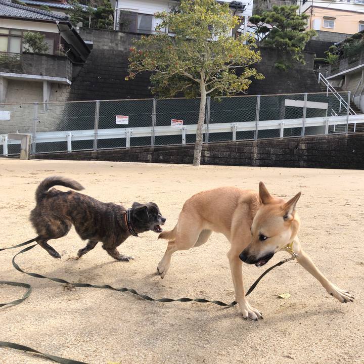 A8ec88e6 4c8f 4fd7 bd29 48ef42ff8350 1580648506609