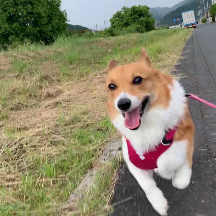 A8ecd1bd d898 49ea 8bf3 ab40ea38286b 1655001165595