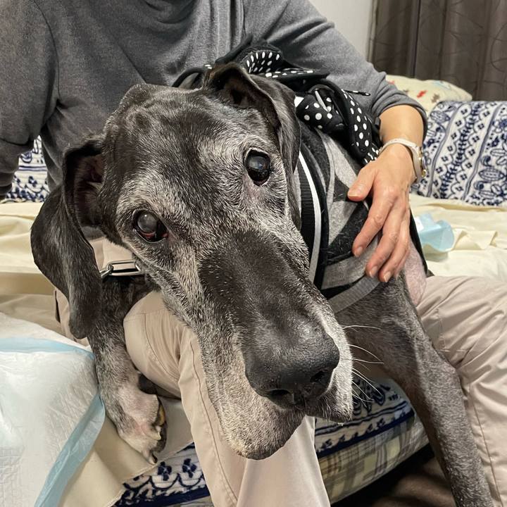 A8ece191 e822 4eb0 85d1 146ac6b55424 1666819961714