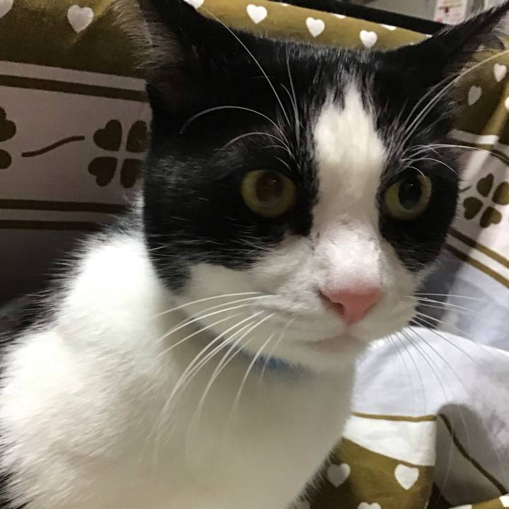 A8ed1de1 aa84 47f8 9e08 7b7d72129534 1733303461471