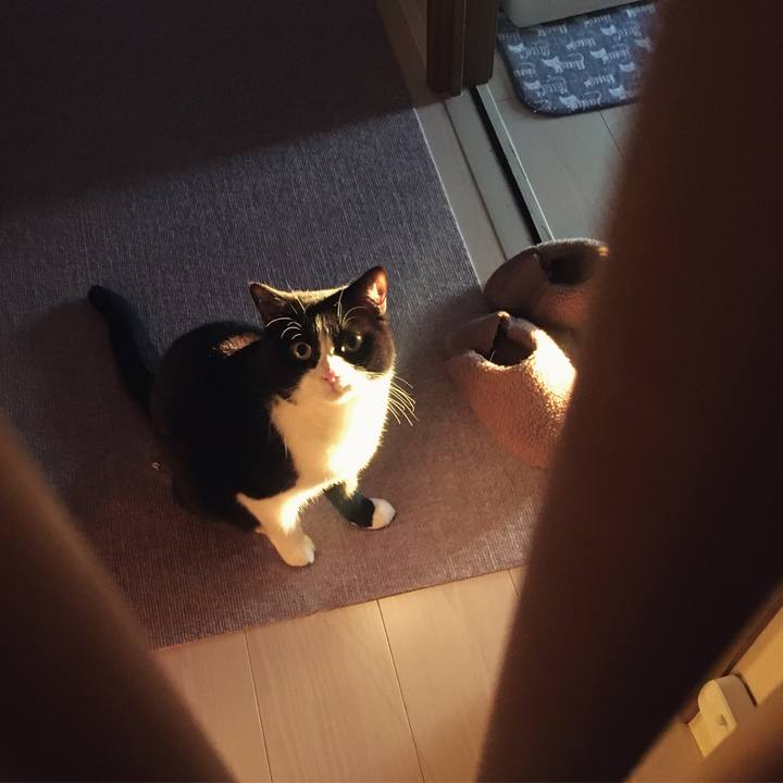 A8ed7466 90a5 4984 932b bc3ee7ec00f3 1573027284221