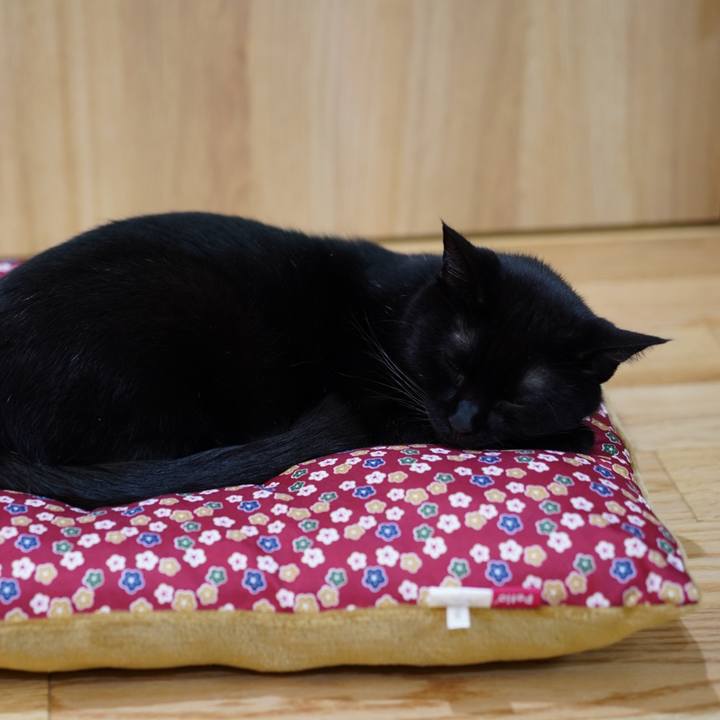 A8ed7ed7 1942 4592 a0a1 f40390bf3b5a 1571061933885